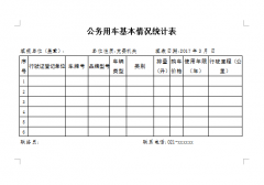 公务用车基本情况统计表